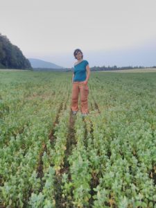 quinoa val de ruz
