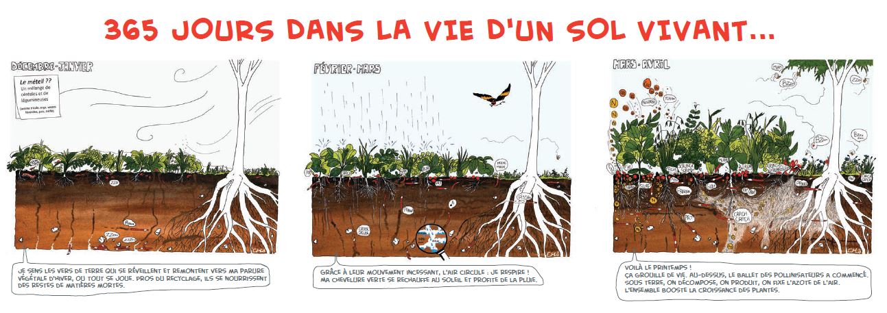 Fertile ou Stérile ? - Centre Samekh